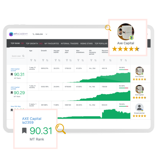 MT Network Copy Trading